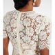 Self-Portrait 奢侈品 女士 精饰蕾丝边酒会礼服 beige 20 | 6 UK
