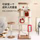 PETSTAR cat climbing frame cat nest integrated medium and large cat table does not occupy an area cat shelf multi-layer cat climbing column