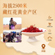 阿依舍（ayishe）藏红花伊朗20g礼盒臧红花番红花送礼佳品 甄选20克藏红花 高档送礼礼盒1