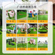 Hanoufei simulated lawn carpet, fake turf bedding, plastic outdoor artificial stadium, artificial fence, kindergarten green floor mat, 2 cm, newly upgraded 15-pin encryption and thickened B-level model (2 meters wide, 1 meter long) 2 square meters (up to 25m, how long do you need to take a few pieces)