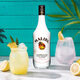 MALIBU 马利宝 洋酒 椰子味 朗姆酒 配制酒 1000ml