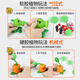 Sanha Toys Genuine Plants vs. Zombie Toys 2 Full Set of Boys Soft Glue Pea Shooter 3 Children's Giant Zombie Ejection Set 10 Hard Glue Pack: 8 Plants 2 Zombies + Bullet Picture