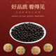 Les granules de pilule hépatique gras de Pékin Tongrentang Sanqi 7 sont de grandes bouteilles, achetées en cinq concentrés à trois graisses pour faire des médicaments et de la nourriture, une bouteille de 100 g [environ 600 pilules]