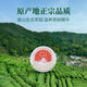 八马茶业绿茶好运成双龙井2025年新茶一级296g 瓷罐茶叶礼盒送礼