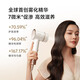 Chasing Shaoguang G30PRO high-speed hair care hair dryer essence atomization household high-power hair dryer negative ion high wind low noise gift Sky Gray AHD19