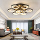 OPPs neue Decke im chinesischen Deckenleuchter LED LED LIGHT ZEN ZEN ZEN ZEN Schlafzimmer moderne einfache und atmosphärische Heimatlampe 0W 0W 0 interne geeignete 0LM 6623-3 Kopf Drei Farben