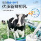 同仁堂（TRT） 牛初乳免疫球蛋白冻干粉胶囊 免疫调节提高增强免疫力成人中老年