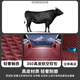 Jun Ang Adecuado para 25 Enverision Plus Tunk Pad 20 Cirlement completo Buick Platinum Edition Trunk Almo