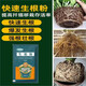 Rooting powder, universal plant rooting agent, fruit tree transplanting rooting agent, cutting nutrient solution, flower fertilizer, rapid rooting solution, buy 3 get 2 free, powerful rooting powder, universal type, 5 bags