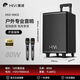 惠威（HiVi）户外广场舞K歌音响 12吋唱歌大功率拉杆移动音箱 麦克风功放一体机乐器演出低音炮双麦蓝牙 MA12