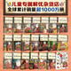 新华书店直营正版新版神奇点心店系列全套21册17-20册官方设定集新书12345辑简体中文版钱天堂3-6-10-13岁儿童版解忧杂货店小学生神奇的点心店广岛玲子著十年屋与魔法街的朋友们全6册 儿童文学