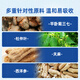 Yimeitang Gastrodia Eucommia SANQI Tongluo Tabletas Gastrodia Eucommia SANQI Tongluo Tabletas 0.6 gramos * 100 Tabletas para personas de mediana edad y ancianos