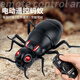 
Remote-controlled electric ant children's prank decompression artifact simulation for little boys and girls fun black technology toys [Classic version - Remote-controlled ladybug] Red model 9922+ equal code