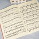 [Selbstbekannte Echte Ausgabe-Direktversion von Kyokura] 50 Echte Cheerny Piano Etudes, 740 Finger definitive technische Übungen 740 (699) People Music Publishing House Kinderklavierbuch Piano Technology Basic Etudes Books Red Book