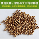 Four-season large-leaf coriander seeds, balcony potted coriander, four-season easy-to-grow vegetable seeds in farm fields, four-season large-leaf coriander seeds packed randomly & four-season fast-growing coriander seeds 1 pack, about 900 seeds, free fertilizer