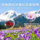 Li Liangji Saffron Yueshu Pasta de azafrán Gelatin Gelatin Rose Angelica American Ginseng Nurishing y acondicionamiento Receta de crema 2 botellas