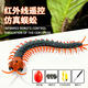 Remote Control Crayfish Mantis Simulation Electronic Pet Animal Children's Fun Moving Toys for Boys and Girls Classic Version-Remote Control Centipede Black Model 9901+ Screws Upgraded Version Comes with 24 Electronics