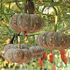 Specially Sweet Pumpkin Seed Flavor Sweet Pumpkin Vegetable Seed Lazy Mopan Large Pumpkin Seed Mopan Large Pumpkin Seed This year’s new species ST2998 New species, 1 pack of about 22 seeds, germination is super good