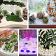 Runhuanian small white gravel succulent paving stone flower cultivation pebbles rain flower stone fish tank landscaping basin fine full white gravel 1-3mm 5 grains