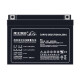 理士理士DJW12-24S阀控式铅酸蓄电池12V24AH适用UPS不间断电源EPS电源 DJM12200S  (12V200ah)