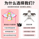 开芽女孩卡通风筝微风易飞初学者郊游户外玩具6-12岁儿童专用毕业礼物