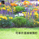 Jiuqiangu plant support frame support bracket gardening flower stand balcony climbing vine leaf guard semicircle 35*70CM 2 pairs set 8373