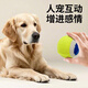 ZanChong Pet Dog Teething Training Ball 4 Pack Puppy Small Dog Toy Bite-resistant Teething Ball Pet Puppy Small Self-Happiness