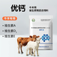 Excellent Veterinary Calcium Vitamin Premix to Promote Calcium Absorption Vitamin Supplement to Enlarge the Skeleton 100g*10 Bags