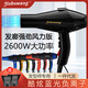 Jinbowang 9930 Friseursalon Professionell Haartrockner Blaues Licht Negative Ion Hochleistungshaarschneidstab Haartrockner Beliebtes Schwarz und Grün - National Standard Drei Stecker