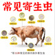 Shijia Veterinary Animal Feed Additive for Cattle and Sheep, which can be used to repel various parasites inside and outside the body and for pregnant animals. Buy 2 and get 1 free. 3 bags will be sent. Recommended for family breeding.