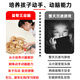 BEYZK儿童玩具开发智力动脑拼装积木实木木制滚珠弹珠轨道男孩礼物 基础版(入门优选)-电池版