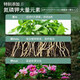 Dewoduo imported pure peat soil 12L horticultural plant nutrient soil universal flower growing soil vegetable soil orchid succulent seedlings