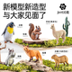 Знание садовые животные модели игрушки Детские 3-6 лет зоопарк и девочка подарки на день рождения набор 36 частей