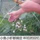 Baichao shrimp net fishing moving net fish net open shrimp fishing net lifting net shrimp cage fishing net lobster kite moving tool folding 1 piece 60 cm