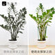 Jiuqiangu plant support frame support bracket gardening flower stand balcony climbing vine leaf guard semicircle 35*70CM 2 pairs set 8373