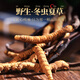 
Cordyceps sinensis wild cordyceps in Sanjiangyuan Cordyceps sinensis Qinghai Yushu Cordyceps sinensis high-altitude Cordyceps sinensis Qinghai Cordyceps sinensis head period 5 pieces per gram