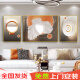 
Modern simple living room decoration painting abstract creative atmospheric triple mural Nordic light luxury sofa background wall hanging painting PA-1049 (three-piece set) 30*40 60*40 black frame + cloth pattern film