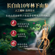 Jinpai Vatertag Geschenk 38 Grad Ginseng Antler Jinjiu Geschenkbox Gesunde Wein Hirsche Geweih Ginseng Ginseng Lycium Berry Angelica Angelica Astragalus Zutaten 38 Grad 50 ml 1 Flasche Ginseng Antler Tasting Wein
