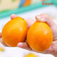 Jingdida Guangxi Rongan Kumquat Three Generations Crisp Honey Kumquat net weight 3Jin Jin is equal to 0.5kg. The single kumquat fruit is about 21g. Straight from the fruit source.
