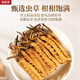 Ruizhiyuan genuine guaranteed Cordyceps nourishing health high-altitude source gift box for parents and elders [5 grams gift box] Genuine nourishing dried cordyceps 24 roots
