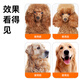 Mi Ling Pet Spray Massage Comb Cat Bathing and Remove Floating Hair Artifact Cat and Dog Combing Special Pet Supplies Pet Large Knot Opening Comb