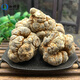 Jiaqitang Panax notoginseng Chinese herbal medicine Yunnan Wenshan Panax notoginseng root 20 heads Tianqi Fresh raw Yun Panax notoginseng powder [30 heads Panax notoginseng] 250 grams