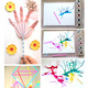 Dongzhitiandi creative handmade diy colorful straws for kindergarten children disposable plastic straws handmade special straight tubes 100 pieces 6*260mm 8-color mixed straws