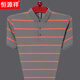 Hengyuanxiang Sommer mittleren Alters mit kurzem T-Shirt für Herren für Herren Revers bequemes Eis Seidenstreifen Polo. Hemd halbärmelige Herren-Top New HH826 Green M 165 (Empfohlen 100-120 Jin [Jin ist gleich 0,5 kg])