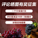 帝月白兰地葡萄烈酒加强型蒸馏酒国产洋酒调酒高档礼盒整箱过节送礼 烈酒500ml52度单瓶-品鉴礼盒装