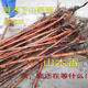 Mountain woody red thorn root green plant potted grafted rose flower log material courtyard bonsai bifurcated old pile 168 pieces does not include pots