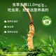 Tongrentang Fresh Cordyceps 27 Подарочная коробка Fresh Cordyceps Fresh Cordyceps. Вся холодная цепь можно проследить до источника. Отправить тонику-фестиваль родителей 0,41 ~ 0,6 г/корень-27