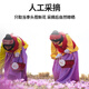 AMETIS伊朗藏红花官方特级非西藏红花西红花5g礼盒装臧红花 藏红花sssss5克礼盒装