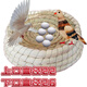 Runhua New Year's Letter racing pigeon straw bird's nest, universal extra large roll-proof corn fur nest for egg laying and breeding, gourd style bird's nest, 1 large size