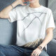 
3[32,000 people collect] Pure cotton short-sleeved T-shirt for men 2025 new half-sleeved T-shirt loose trend summer Z829 gray M [Suggested 90-115Jin[Jin equals 0.5 kg]]